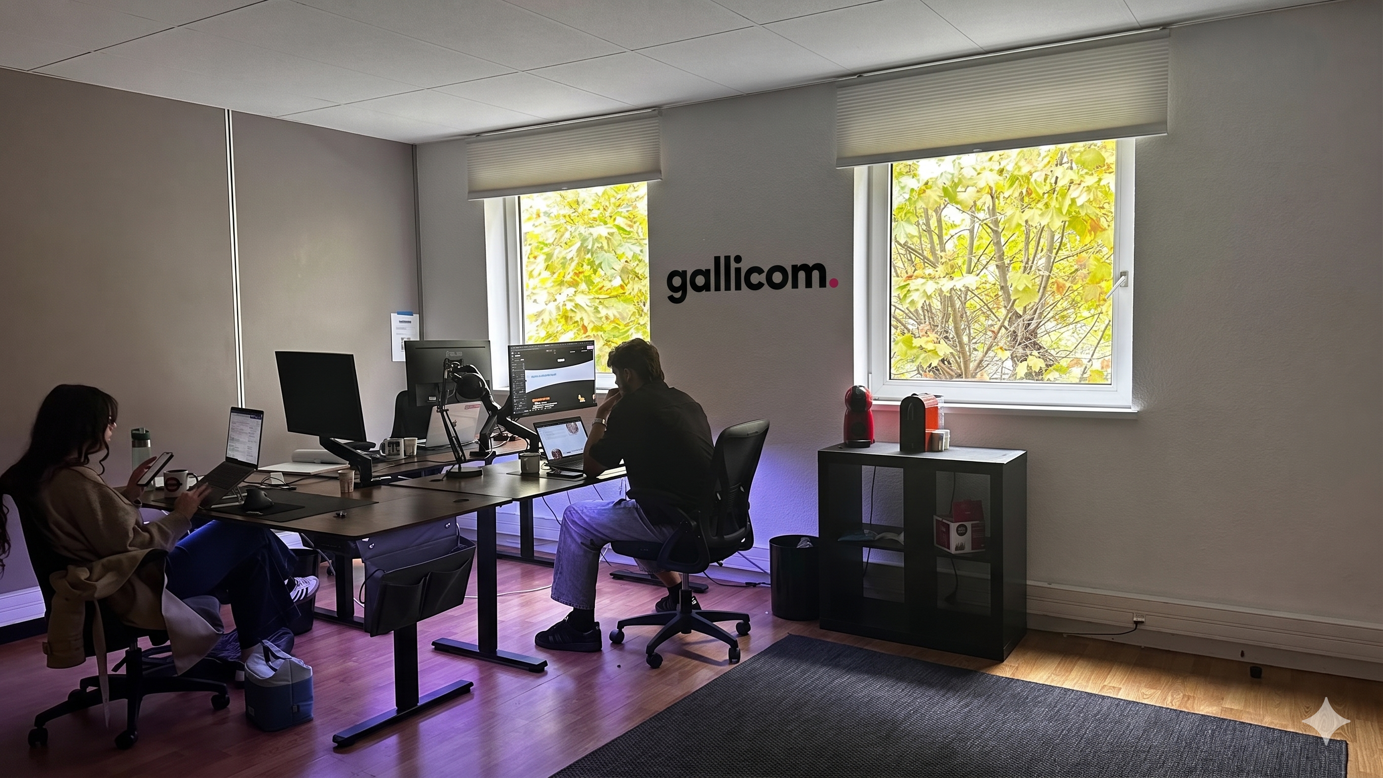 L’équipe Gallicom dans son agence à Grenoble