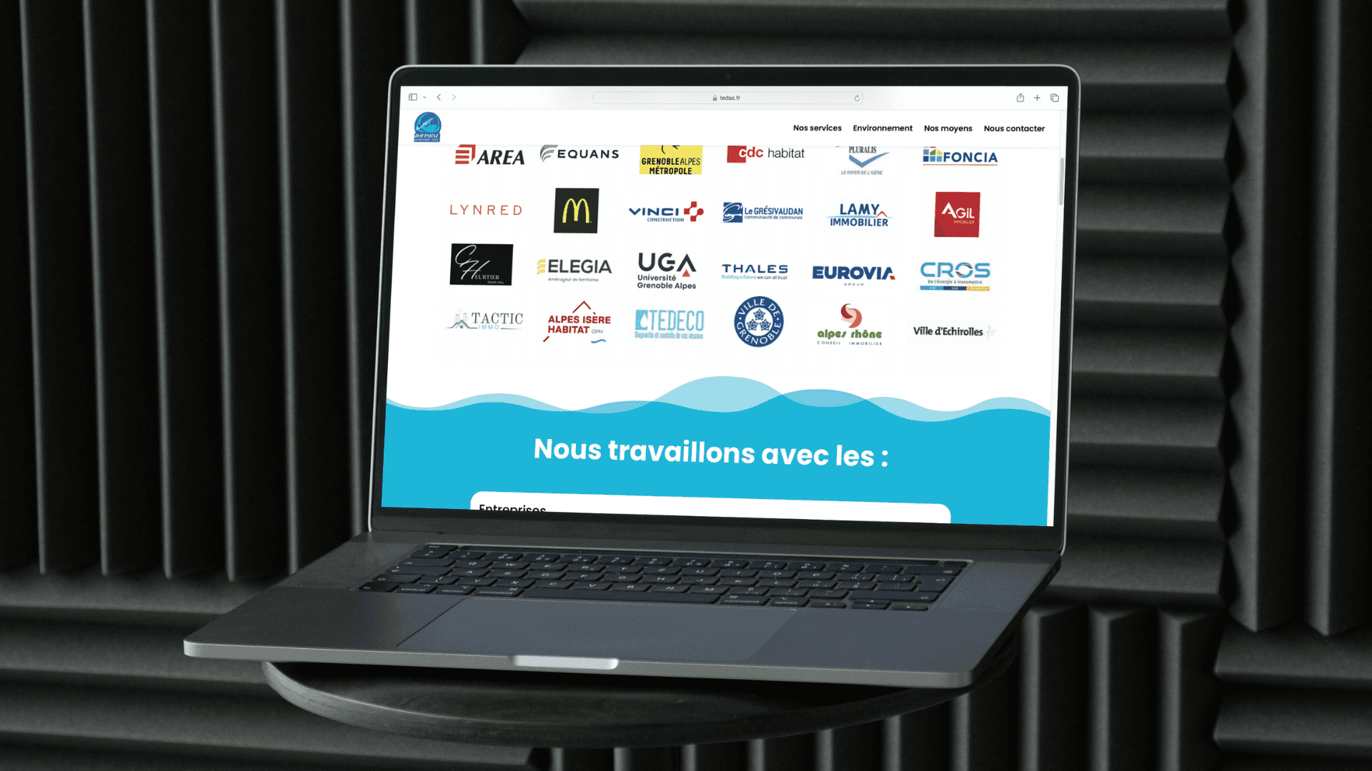 Aperçu du site Dauphiné Assainissement