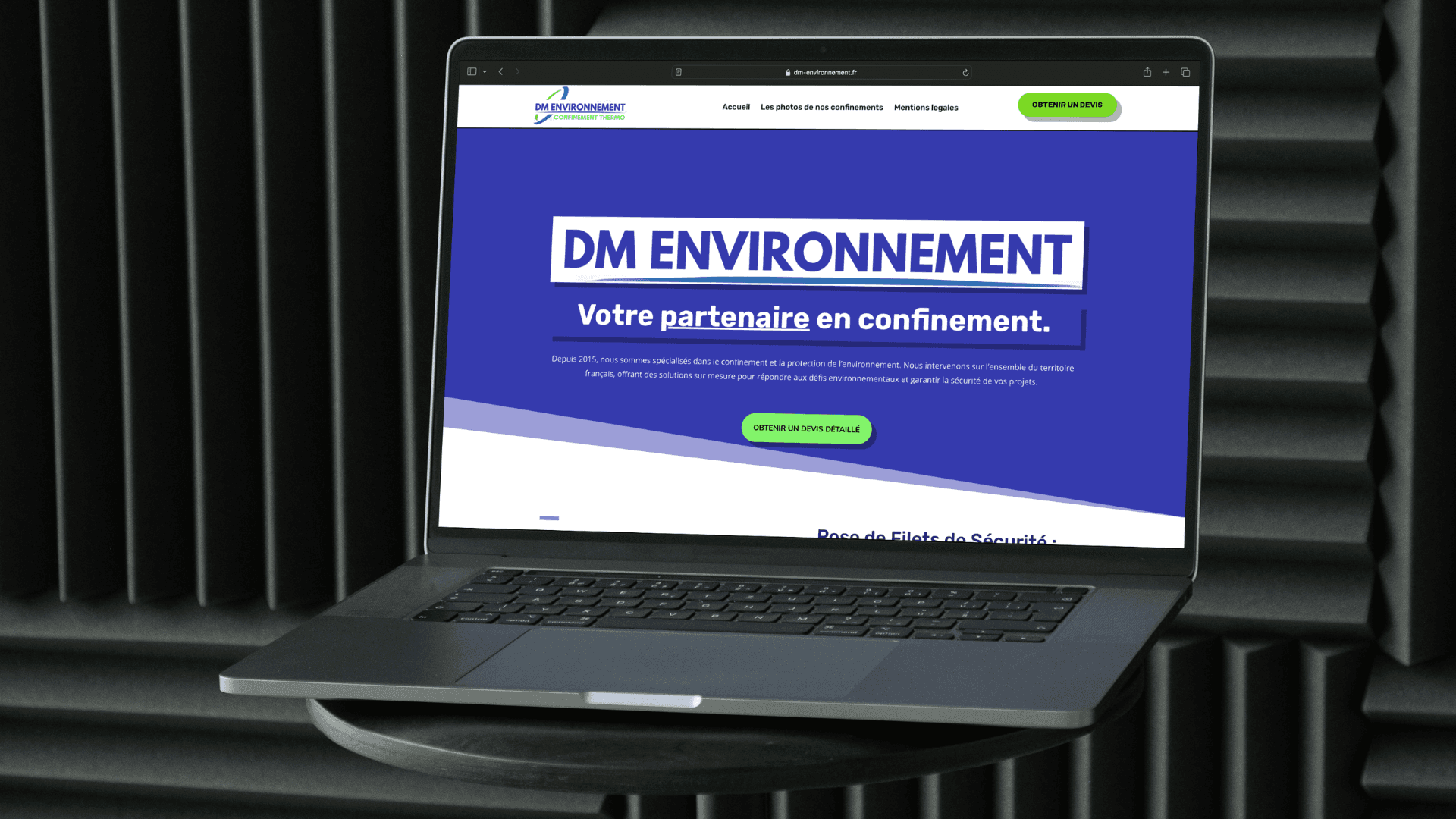 Aperçu du site DM Environnement