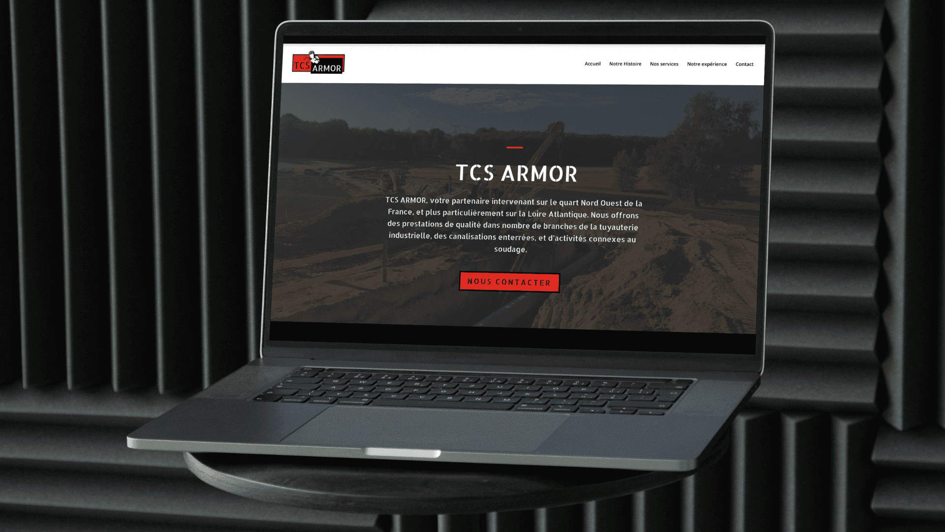 Aperçu du site TCS Armor
